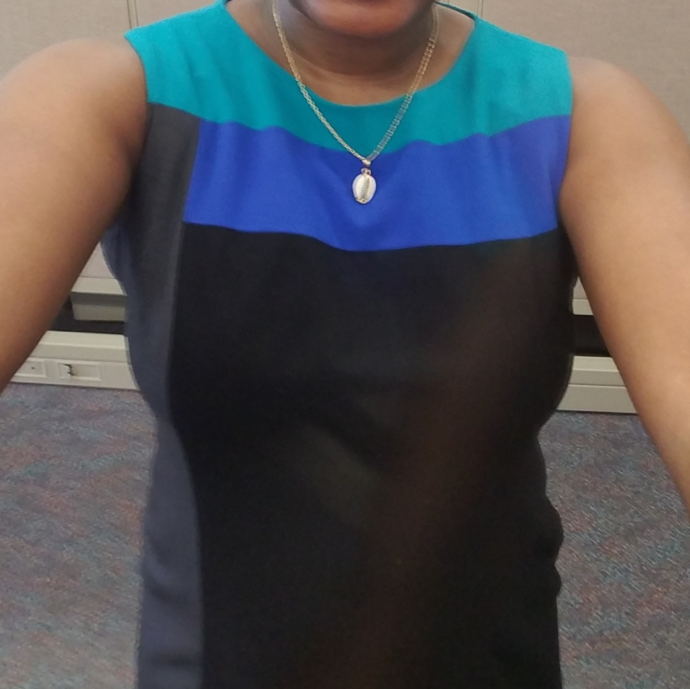 Colorblock Calvin Klein sheath dress